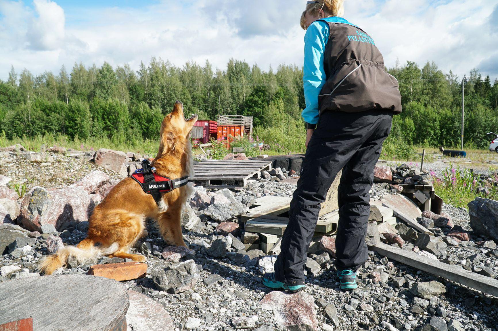 Koira istuu rauniokasan päällä ja haukkuu ilmaistakseen ohjaajalleen löytäneensä ihmisen. Ohjaaja seisoo koiran vieressä selin kameraan.